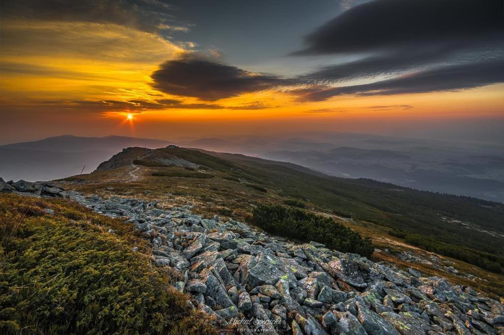 Willa Babia Gora Zawoja Buitenkant foto
