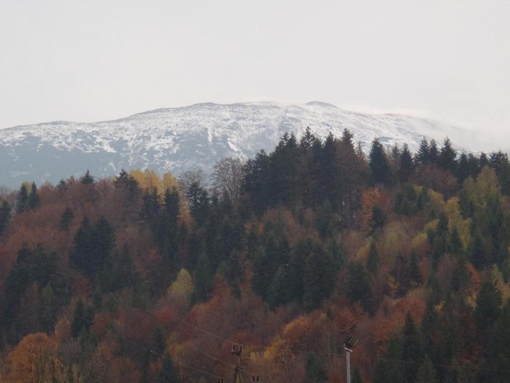 Willa Babia Gora Zawoja Buitenkant foto